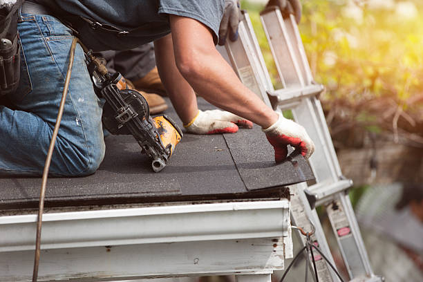 Best Roof Maintenance Services  in Marlboro Meadows, MD